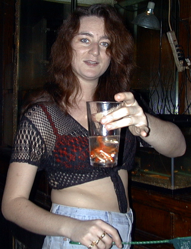Village_Idiot_fish_%22food%22.jpg